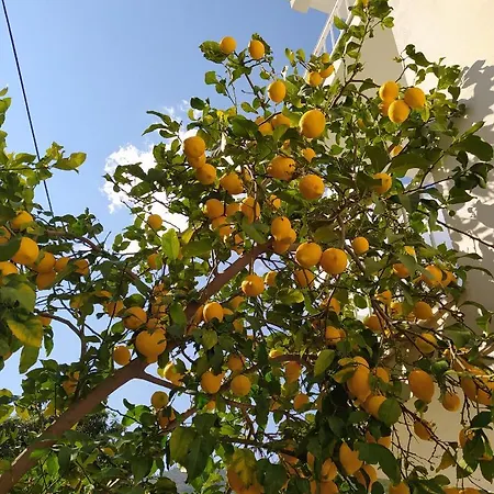 Akdeniz